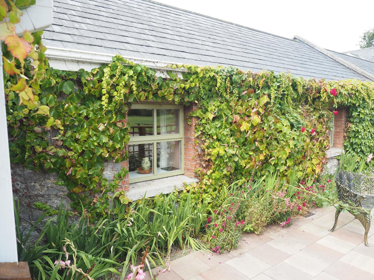 Coolanowle Self Catering Holiday Accommodation Carlow Exterior photo